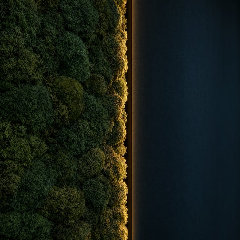 Kante einer Mooswand am Anschluss zur glatten Wand, in der Fuge dazwischen liegt ein Lichtband